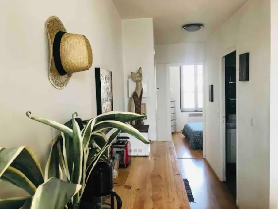 Appartement T2 Avec Vue Chateau Καρκασόν Εξωτερικό φωτογραφία